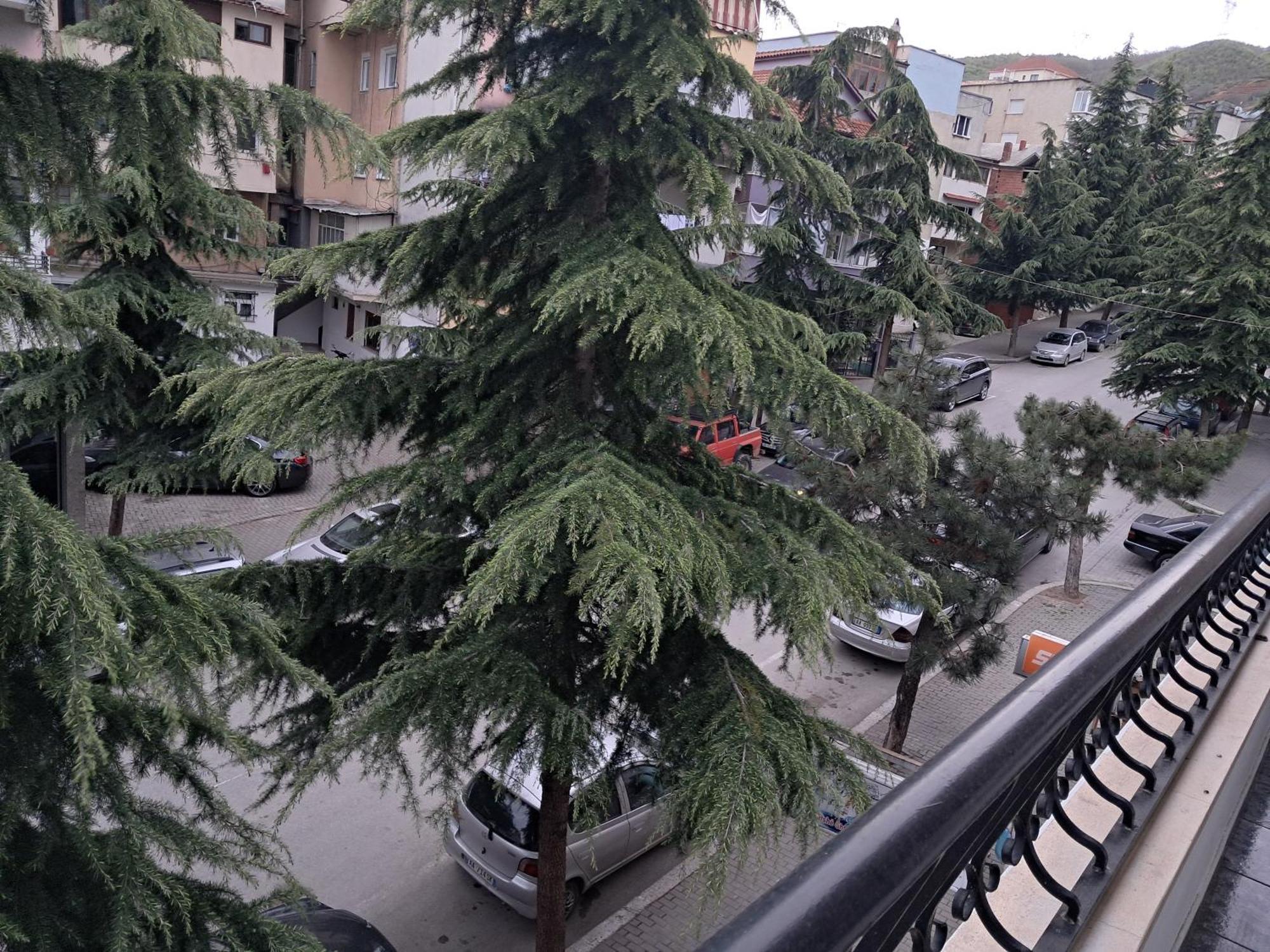 New Apartament Pogradec Exterior foto